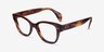 Ray-Ban RB0880 Brown Striped AcetateEyeglass Frames from EyeBuyDirect, Angle View