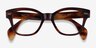 Ray-Ban RB0880 Brown Striped AcetateEyeglass Frames from EyeBuyDirect, Closed View
