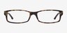 Ray-Ban RB5114 Tortoise AcetateEyeglass Frames from EyeBuyDirect, Front View