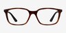 Ray-Ban RB7176 Tortoise PlasticEyeglass Frames from EyeBuyDirect, Front View
