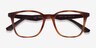 Ray-Ban RB7177 Tortoise Brown PlasticEyeglass Frames from EyeBuyDirect, Closed View