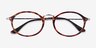 Ray-Ban RB2547V Tortoise Gunmetal AcetateEyeglass Frames from EyeBuyDirect, Closed View