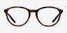 ARNETTE Scroopy Dark Tortoise PlasticEyeglass Frames from EyeBuyDirect, Front View