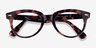 Ray-Ban RB2199V Orion Pink Tortoise AcetateEyeglass Frames from EyeBuyDirect, Closed View