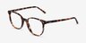 Ray-Ban RB5397 Elliot Brown Gray Tortoise AcetateEyeglass Frames from EyeBuyDirect, Angle View