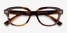 Ray-Ban RB7215 Erik Striped Tortoise PlasticEyeglass Frames from EyeBuyDirect, Closed View