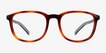 ARNETTE Karibou Tortoise PlasticEyeglass Frames from EyeBuyDirect, Front View