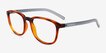 ARNETTE Karibou Tortoise PlasticEyeglass Frames from EyeBuyDirect, Angle View