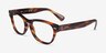 Ray-Ban RB2201V Laramie Shiny Striped Tortoise AcetateEyeglass Frames from EyeBuyDirect, Angle View
