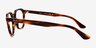 Ray-Ban RB5390 Striped Tortoise AcetateEyeglass Frames from EyeBuyDirect, Side View
