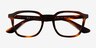 Ray-Ban RB5390 Striped Tortoise AcetateEyeglass Frames from EyeBuyDirect, Closed View