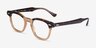 Ray-Ban RB5398 Hawkeye Tortoise Transparent Brown AcetateEyeglass Frames from EyeBuyDirect, Angle View