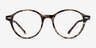 Ray-Ban RB7118 Brown Tortoise PlasticEyeglass Frames from EyeBuyDirect, Front View