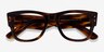 Ray-Ban RB0840V Striped Tortoise PlasticEyeglass Frames from EyeBuyDirect, Closed View