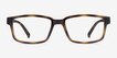 ARNETTE Bixiga Matte Tortoise PlasticEyeglass Frames from EyeBuyDirect, Front View