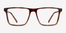 ARNETTE Brawler Tortoise Honey PlasticEyeglass Frames from EyeBuyDirect, Front View