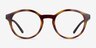 ARNETTE Allye Dark Tortoise PlasticEyeglass Frames from EyeBuyDirect, Front View