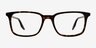 Ray-Ban RB5421 Tortoise AcetateEyeglass Frames from EyeBuyDirect, Front View