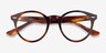 Ray-Ban RB7680V Larry Striped Tortoise AcetateEyeglass Frames from EyeBuyDirect, Closed View