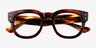 Ray-Ban RB0298V Mega Hawkeye Striped Tortoise AcetateEyeglass Frames from EyeBuyDirect, Closed View