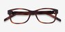 ARNETTE Momochi Matte Tortoise PlasticEyeglass Frames from EyeBuyDirect, Closed View