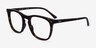 Ray-Ban RB2210V Tortoise AcetateEyeglass Frames from EyeBuyDirect, Angle View