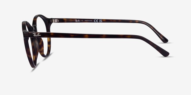 Ray-Ban RB5430 Bernard Shiny Tortoise AcetateEyeglass Frames from EyeBuyDirect, Side View