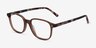 Ray-Ban RB5393 Leonard Clear Brown AcetateEyeglass Frames from EyeBuyDirect, Angle View