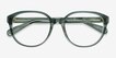 Coach HC6209U Transparent Green AcetateEyeglass Frames from EyeBuyDirect, Closed View