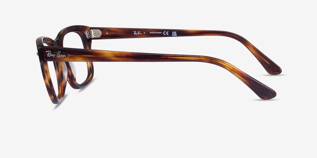 Ray-Ban RB5383 Tortoise Brown AcetateEyeglass Frames from EyeBuyDirect, Side View
