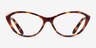 Ralph RA7121 Brown Tortoise PlasticEyeglass Frames from EyeBuyDirect, Front View