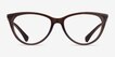 Ralph RA7131 Brown PlasticEyeglass Frames from EyeBuyDirect, Front View