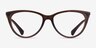 Ralph RA7131 Matte Chocolate PlasticEyeglass Frames from EyeBuyDirect, Front View