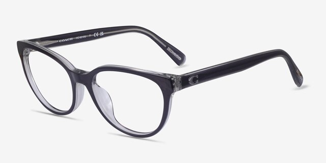 Coach HC6210U Transparent Gray AcetateEyeglass Frames from EyeBuyDirect, Angle View