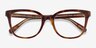 Coach HC6225U Dark Tortoise AcetateEyeglass Frames from EyeBuyDirect, Closed View