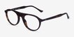 Ray-Ban RB5441 Tortoise AcetateEyeglass Frames from EyeBuyDirect, Angle View