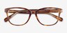 Coach HC6224U Dark Tortoise AcetateEyeglass Frames from EyeBuyDirect, Closed View