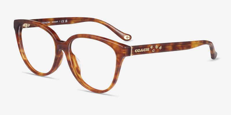 Coach HC6234F