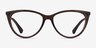 Ralph RA7131 Brown PlasticEyeglass Frames from EyeBuyDirect, Front View