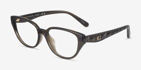 Coach HC6279D Transparent Oak Éco-responsable Montures de lunettes de vue d'EyeBuyDirect, Vue d'Angle