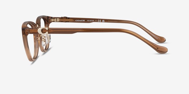Coach HC6272F Transparent Brown Acetate-metalMontures de lunettes de vue d'EyeBuyDirect, Vue de Côté