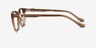 Coach HC6272F Transparent Brown Acetate-metalMontures de lunettes de vue d'EyeBuyDirect, Vue de Côté