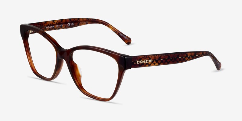 Coach HC6207U