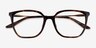 Armani Exchange AX3142U Shiny Havana MétalMontures de lunettes de vue d'EyeBuyDirect, Vue Rapprochée