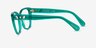 Swarovski SK2008 Crystal Green AcetateEyeglass Frames from EyeBuyDirect, Side View