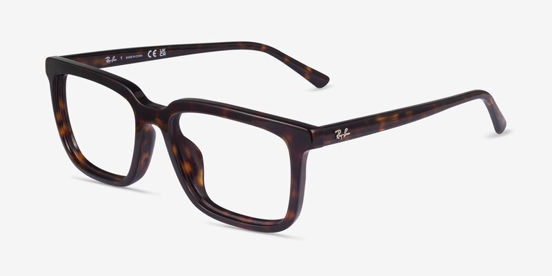 Ray-Ban RB7239F Alain