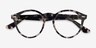 Ray-Ban RB7680V Larry Gray Tortoise AcetateEyeglass Frames from EyeBuyDirect, Closed View