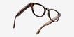 Ray-Ban Meta (Gen 2) Scriber Optics Havana Plastic from EyeBuyDirect