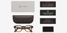 Ray-Ban Meta Scriber Optics (Gen 2) Havana Plastic from EyeBuyDirect