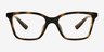 Armani Exchange AX3146U Shiny Havana PlasticEyeglass Frames d'EyeBuyDirect, Vue de Face